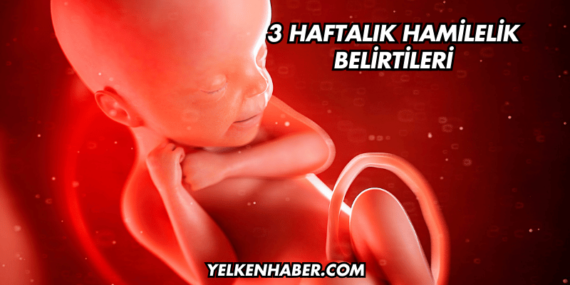 3 Haftalık Hamilelik Belirtileri