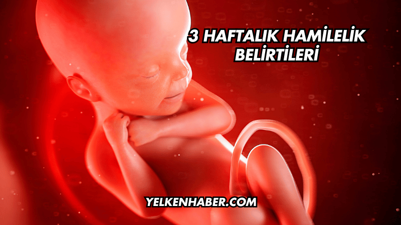 3 Haftalık Hamilelik Belirtileri
