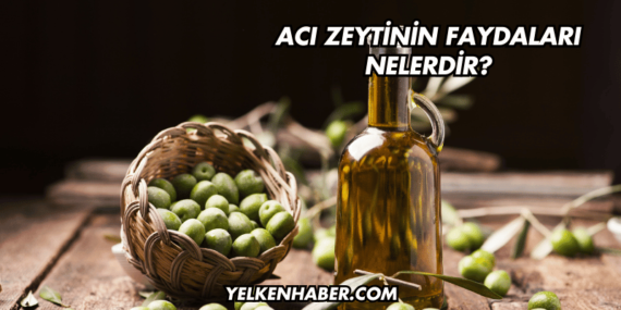 Acı Zeytinin Faydaları Nelerdir?