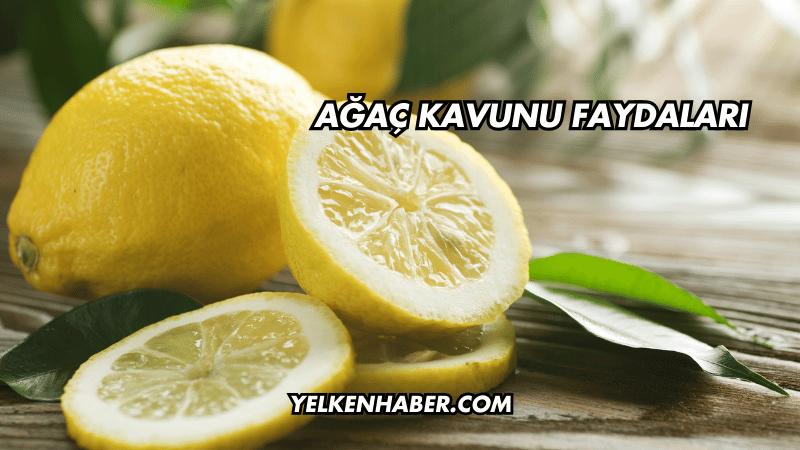 Ağaç Kavunu Faydaları