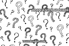Arapça Sitte Ne Demek?