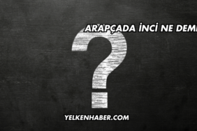 Arapçada İnci Ne Demek?
