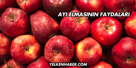 Ayı Elmasının Faydaları