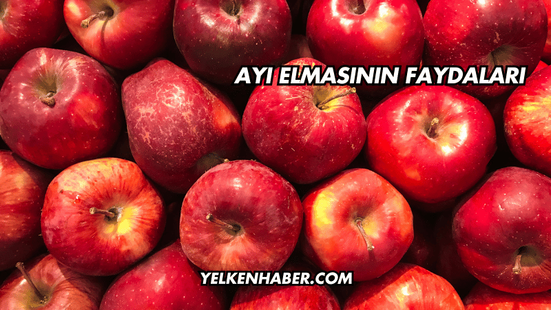 Ayı Elmasının Faydaları