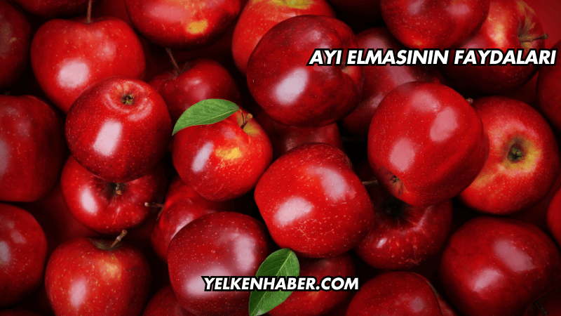 Ayı Elmasının Faydaları