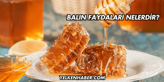 Balın Faydaları Nelerdir?
