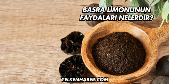 Basra Limonunun Faydaları Nelerdir?