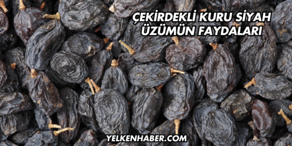 Çekirdekli Kuru Siyah Üzümün Faydaları