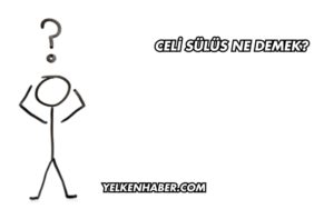 Celi Sülüs Ne Demek?