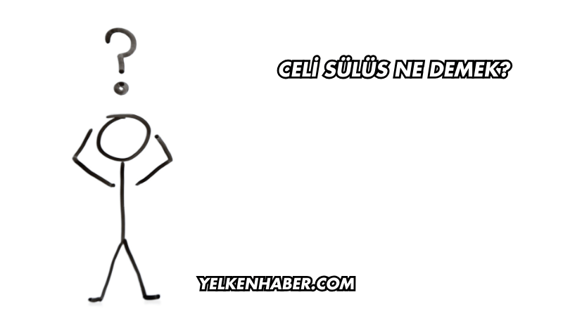 Celi Sülüs Ne Demek?