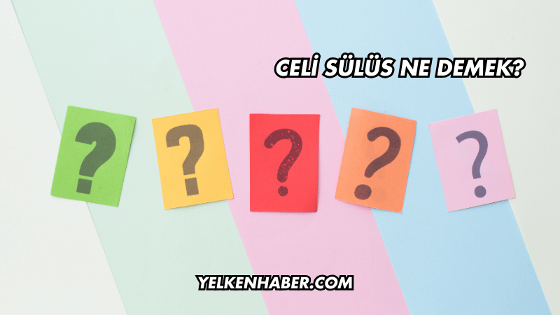 Celi Sülüs Ne Demek?