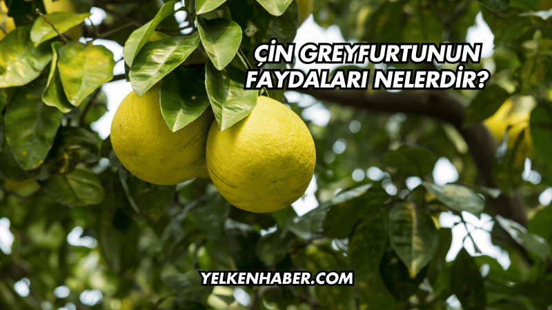 Çin Greyfurtunun Faydaları Nelerdir?