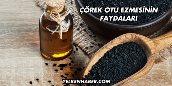 Çörek Otu Ezmesinin Faydaları