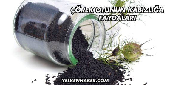 Çörek Otunun Kabızlığa Faydaları