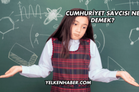 Cumhuriyet Savcısı Ne Demek?