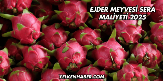 Ejder Meyvesi Sera Maliyeti 2025