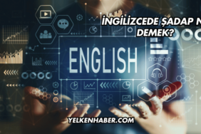 İngilizcede Şadap Ne Demek?