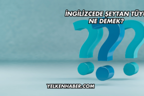 İngilizcede Şeytan Tüyü Ne Demek?