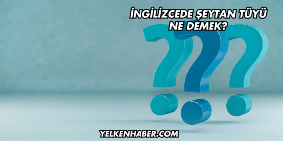İngilizcede Şeytan Tüyü Ne Demek?
