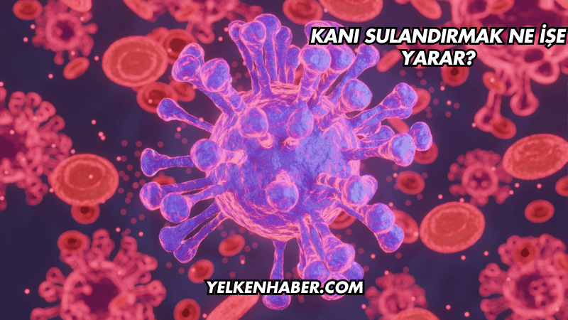 Kanı Sulandırmak Ne İşe Yarar?