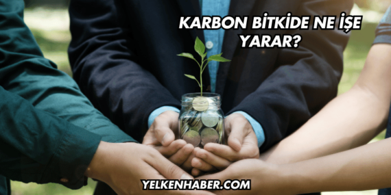 Karbon Bitkide Ne İşe Yarar?