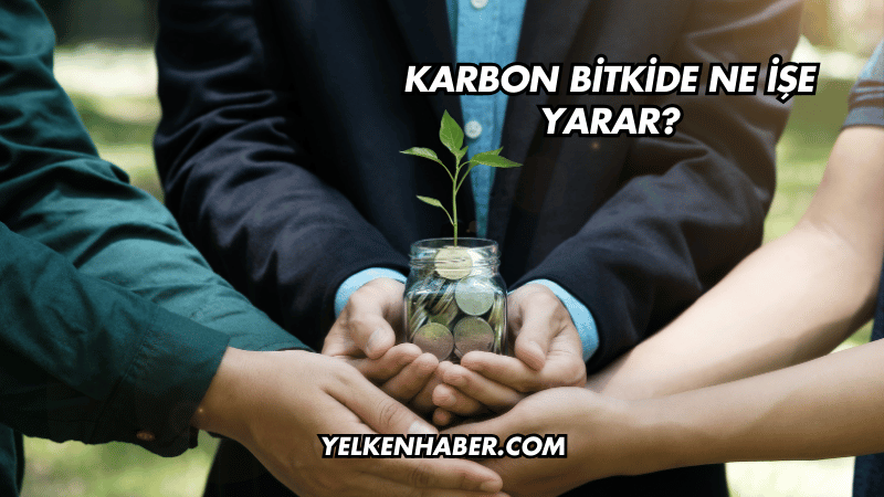 Karbon Bitkide Ne İşe Yarar?