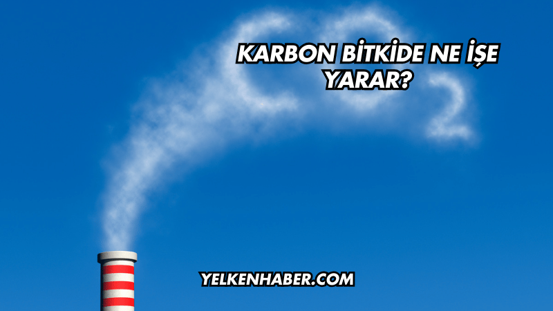 Karbon Bitkide Ne İşe Yarar?