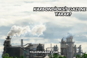 Karbondioksit Gazı Ne İşe Yarar?