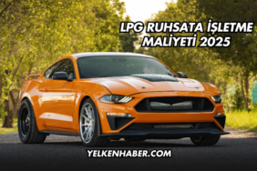 LPG Ruhsata İşletme Maliyeti 2025