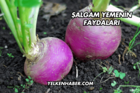 Şalgam Yemenin Faydaları