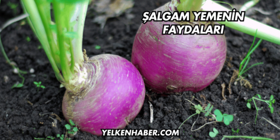 Şalgam Yemenin Faydaları