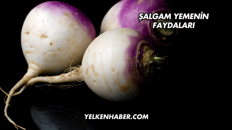 Şalgam Yemenin Faydaları