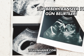 Tüp Bebek Transfer 11 Gün Belirtileri