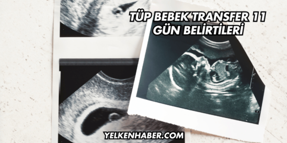 Tüp Bebek Transfer 11 Gün Belirtileri
