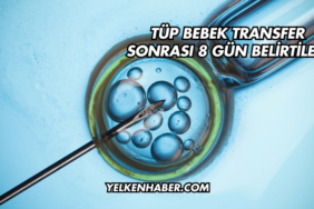 Tüp Bebek Transfer Sonrası 8 Gün Belirtileri
