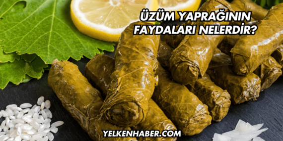 Üzüm Yaprağının Faydaları Nelerdir?