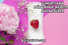 Yumurtlama Döneminde Akıntı Ne Kadar Sürer