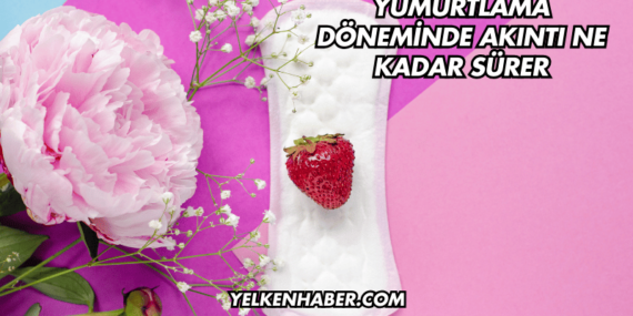 Yumurtlama Döneminde Akıntı Ne Kadar Sürer
