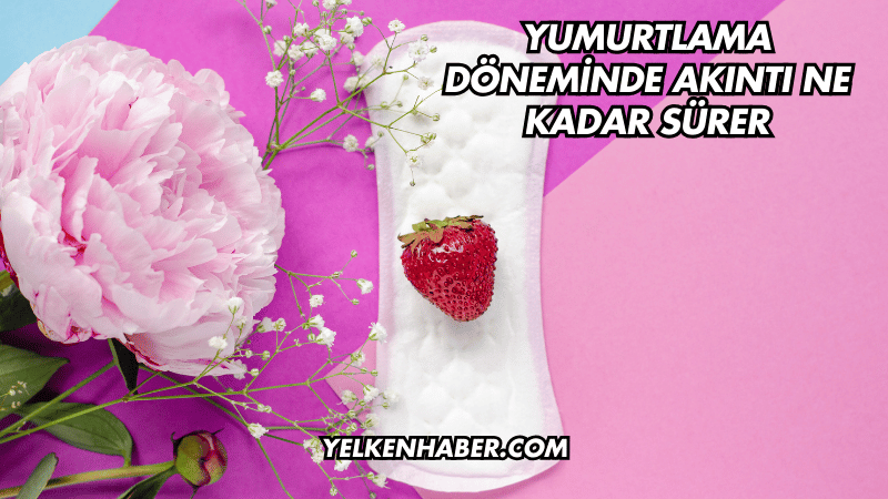 Yumurtlama Döneminde Akıntı Ne Kadar Sürer