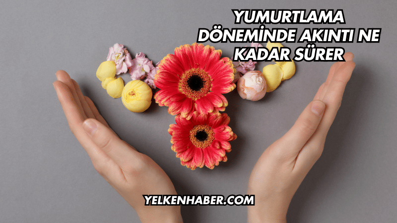Yumurtlama Döneminde Akıntı Ne Kadar Sürer