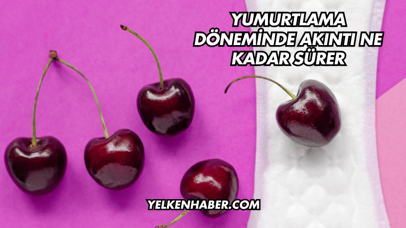 Yumurtlama Döneminde Akıntı Ne Kadar Sürer