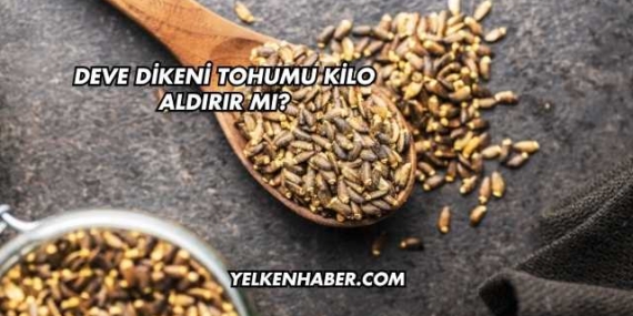 Deve Dikeni Tohumu Kilo Aldırır mı?